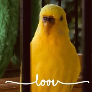 Meet your Posher, Suzanne